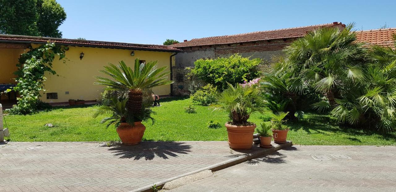 Villa Il Lauro ปิซา ภายนอก รูปภาพ